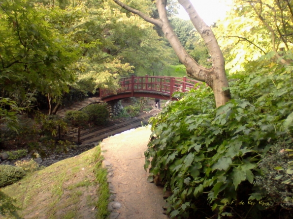 Jardin (2) Kahn sept 2011